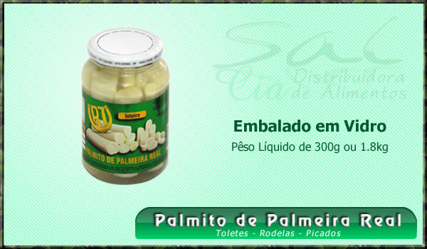 Palmito Palmeira Real